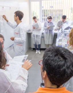 AIMPLAS y la Universitat de València crean el primer título de Experto Universitario en Reciclado
