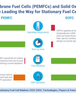 Las pilas PEMFC y SOFC lideran el mercado de las pilas de combustible estacionarias