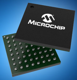 PRINT Microchip SAM R34 w
